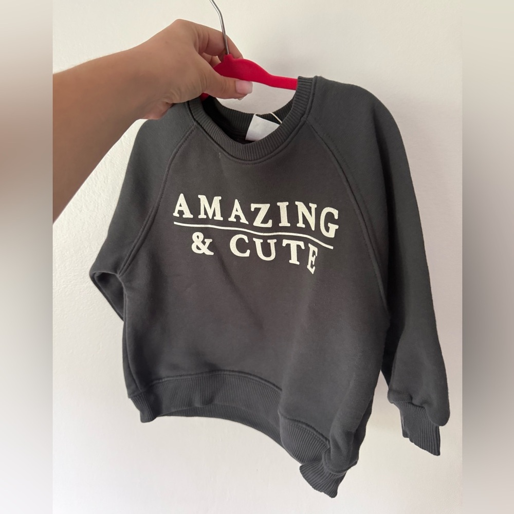 Amazing & Cute Gray Sweatshirt